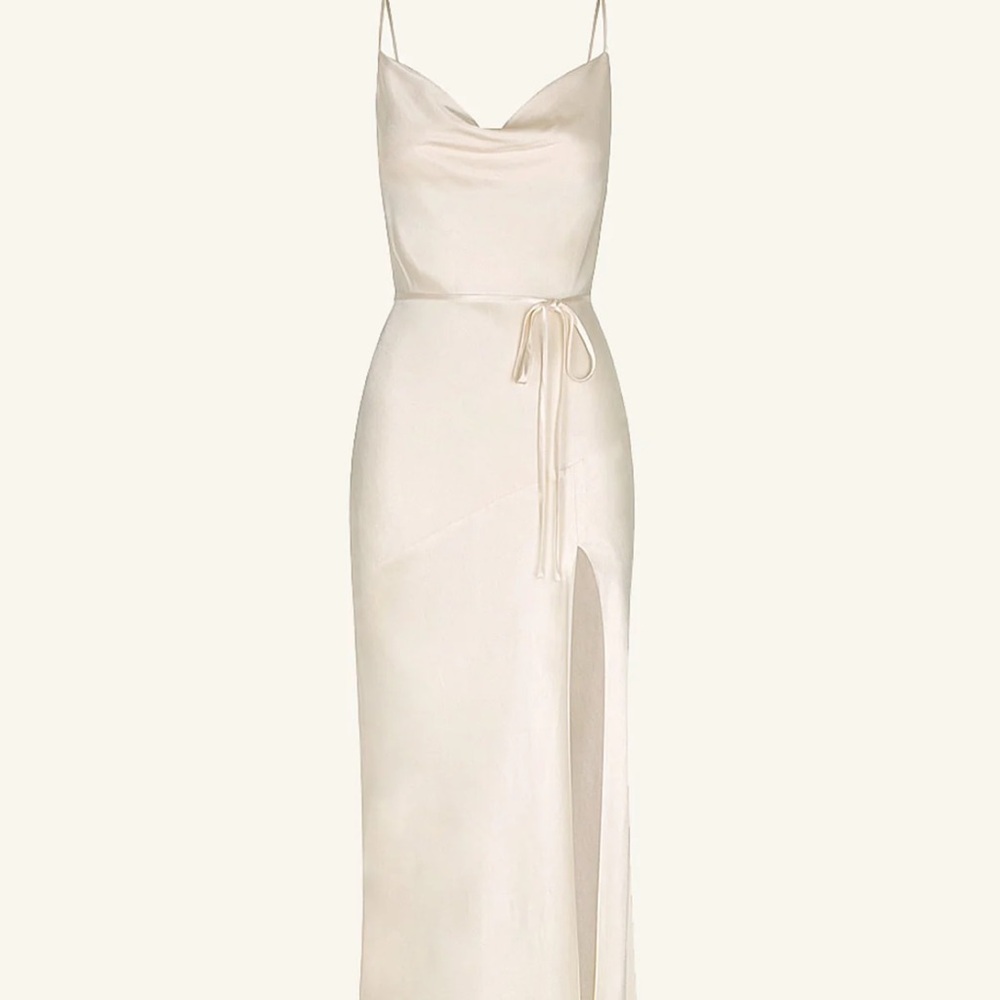 Shona Joy Dress